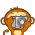 Monkey62